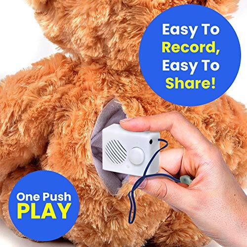 Ezsound Box - 10 Inch Extension Play Button For Stuffed Animals, Craft Projects, School Presentations, Hobbies, Personalized Items, Model Trains, Etc - 200 Seconds - Rerecordable Thru Audio Port