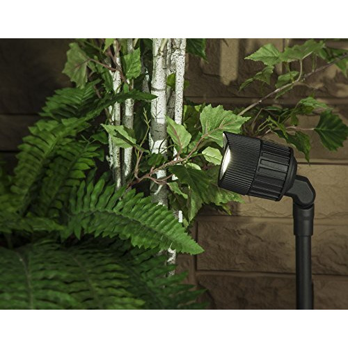 Sterno Home Gl33007Bk Paradise Low Voltage Led Junior Spot Light, 1 Count (Pack Of 1), Black