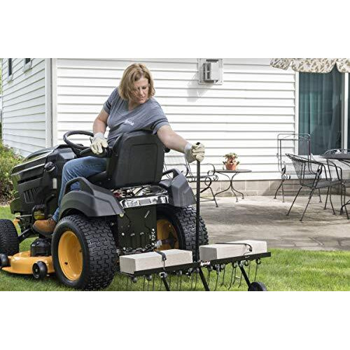 Agri-Fab 45-0295 48-Inch Tine Tow Dethatcher,Black,Medium