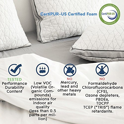 Coop Home Goods Extra Oomph Firm Fill, Shredded Memory Foam, 12 Pound Bag, Refill To Customize Your Premium Adjustable Pillow, Greenguard Gold And Certipur-Us Certified