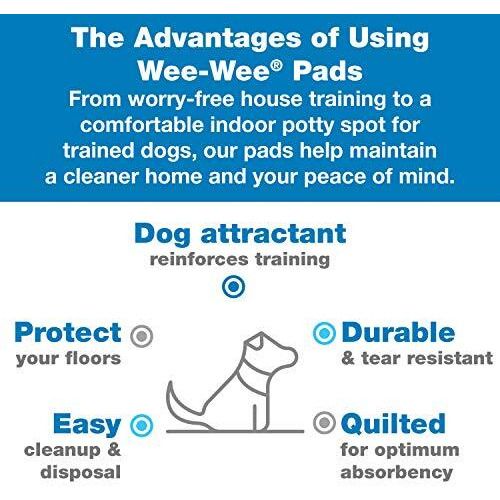 Four Paws Wee-Wee Superior Performance Puppy & Dog Training Pads 100-Count Standard 22"" X 23""