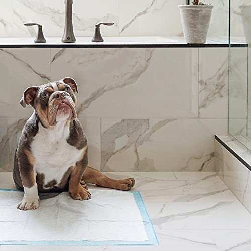 Four Paws Wee-Wee Superior Performance Puppy & Dog Training Pads 100-Count Standard 22"" X 23""