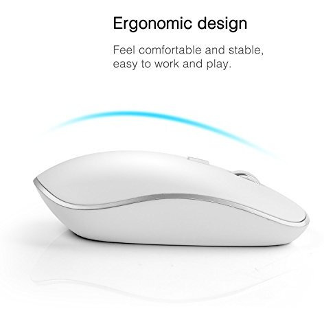 Wireless Mouse For Laptop, J Joyaccess Silent Stream Line Optical Cordless Mouse With Usb Nano Receiver And High Precision 2400 Dpi-Silver+White