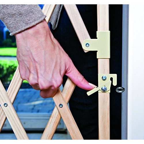 Evenflo Expansion Walk Thru Room Divider Gate