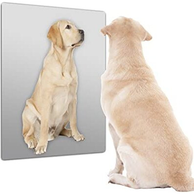 Glossy Gallery Rectangle Shatterproof Acrylic Safety Mirror - 18In X 24In