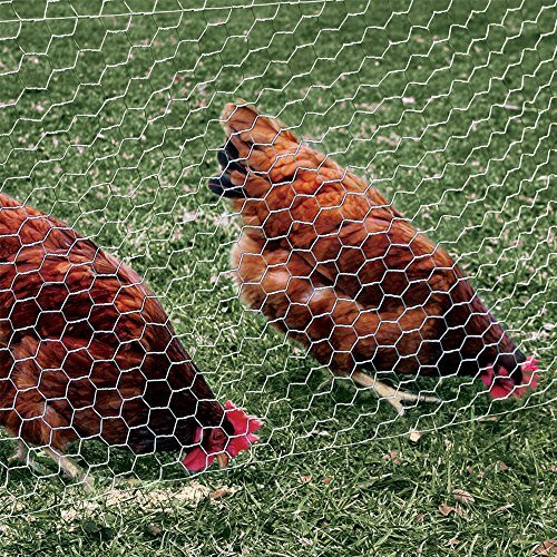 Yardgard 308476B 4 Foot X 50 Foot 2 Inch Mesh Poultry Netting