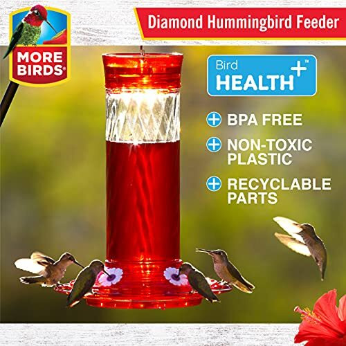 More Birds Diamond Health Hummingbird Feeders For Outdoors, Pack Of 1, Red