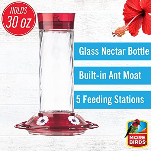 More Birds Diamond Health Hummingbird Feeders For Outdoors, Pack Of 1, Red