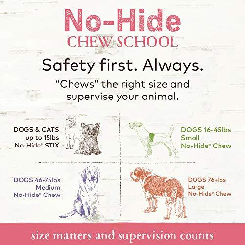 Earth Animal No-Hide Small Salmon Flavored Rolls Natural Rawhide Alternative Dog Chew Treat For Small Dogs - 2 Chews