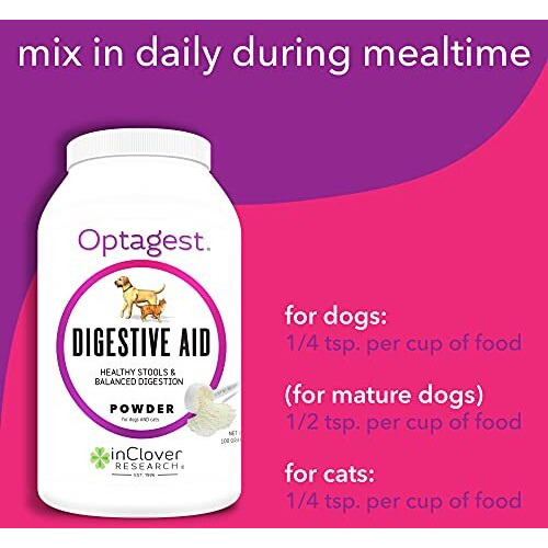 In Clover Optagest Daily Digestive Enzymes For Dogs. Organic Prebiotic Natural Enzyme Powder For Immune Support, Healthy Stools And Less Gas. No Foreign Probiotics, 3.5Oz