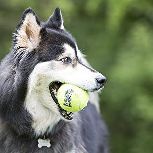 Kong - Squeakair   Ball - Dog Toy Premium Squeak Tennis Balls, Gentle On Teeth - Large