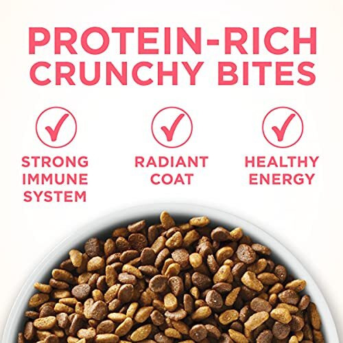 Purina One Natural Dry Kitten Food, Healthy Kitten - 3.5 Lb. Bag