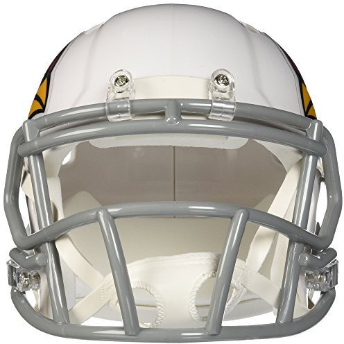 Riddell Unisex Adult Revolution Speed Mini Helmet, Team Color, One Size Us