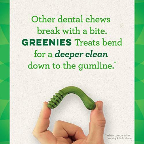 Greenies Blueberry Flavor Large Dog Dental Chews - 12 Ounces 8 Treats
