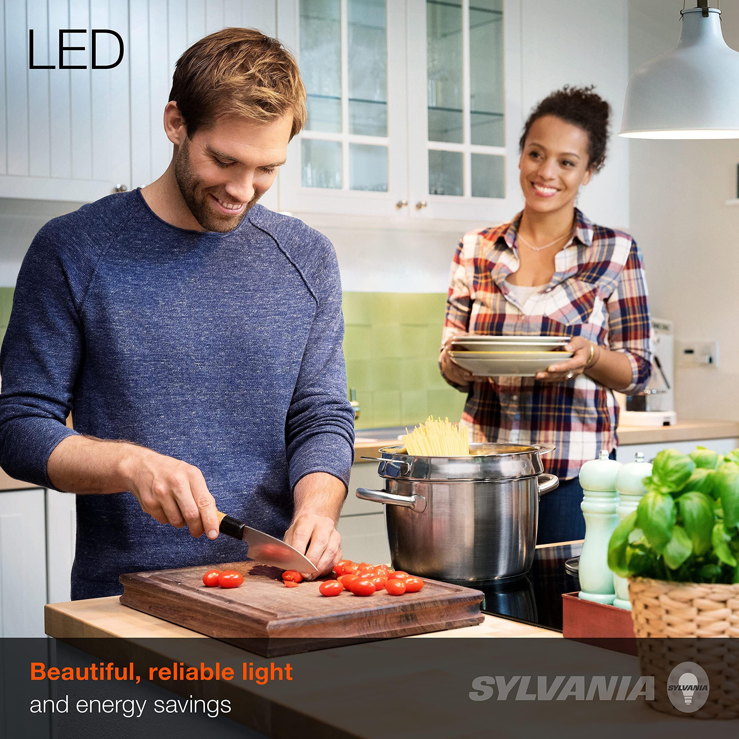 Sylvania Eco Led A19 Light Bulb, 60W Equivalent, Efficient 9W, 7 Year, 750 Lumens, Non-Dimmable, Frosted, 5000K Daylight, Pack Of 24 (40987)