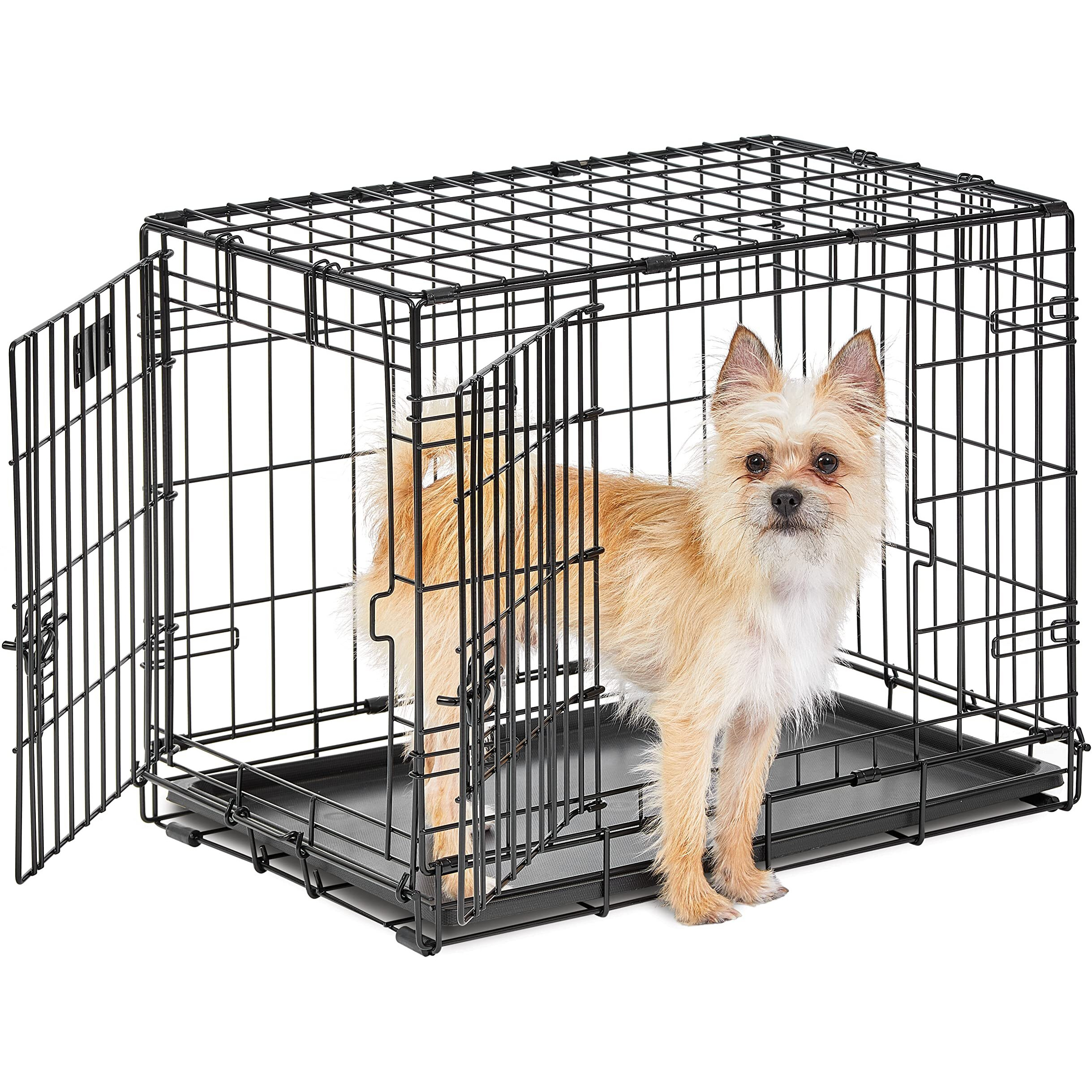 Midwest Homes For Pets Small Dog Crate, Life Stages 24' Double Door Folding Metal Dog Crate | Divider Panel, Floor Protecting Feet, Leak-Proof Dog Pan| 24L X 18W X 19H Inches, Small Dog Breed