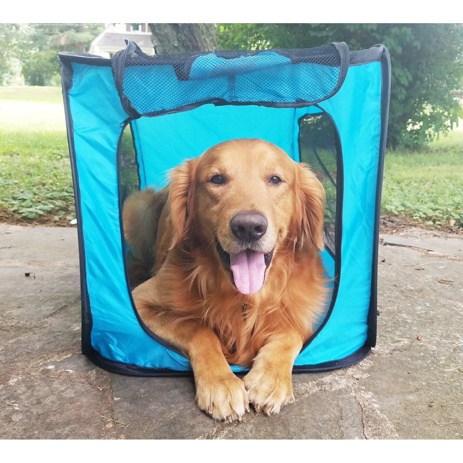 Pop Open Collapsible Travel Crate In 2 Sizes (Large)