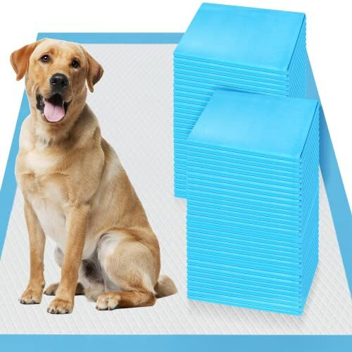 Boscute Xxl Thicken 6 Layers Heavy Absorbent 30"&quotX36"" Pet Training Dog Pee Pads, Extra Large Polymer Leak-Proof Quick Dry Puppy Pee Pads, Disposable Pee Pads For Dogs Cats Rabbit