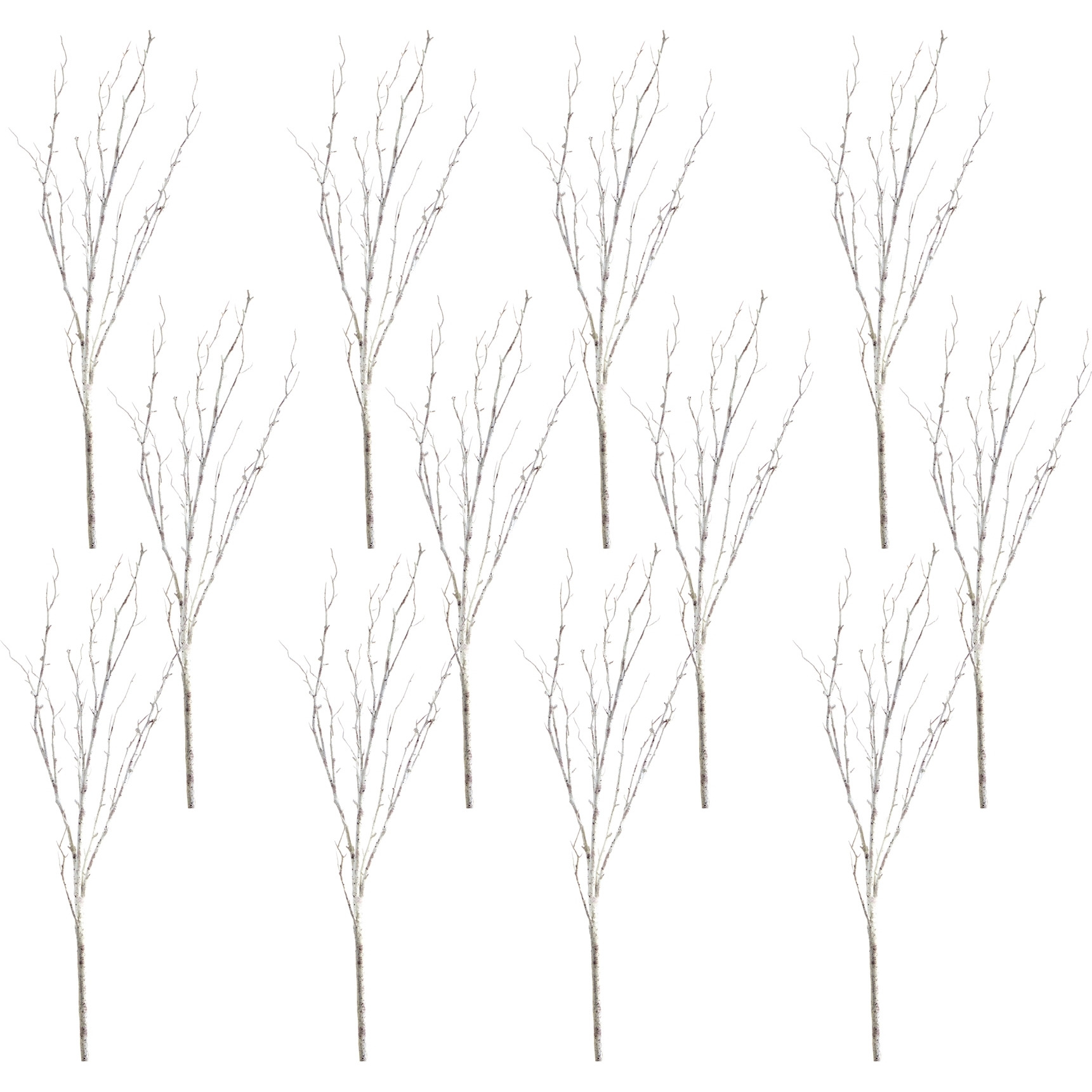 Birch Branch (Setof 12)