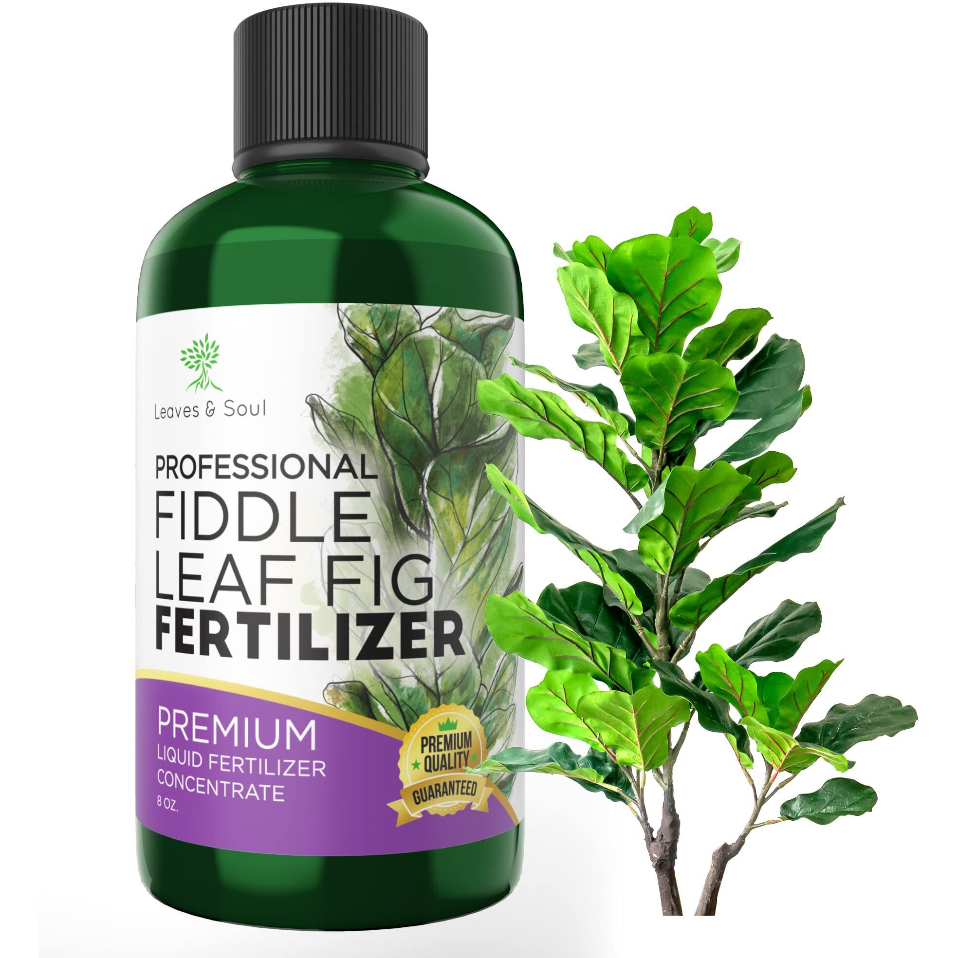 Professional Liquid Fiddle Leaf Fig Plant Fertilizer | 3-1-2 Concentrate For House Plants | Multi-Purpose Blend & Gardening Supplies | 8 Oz Bottle