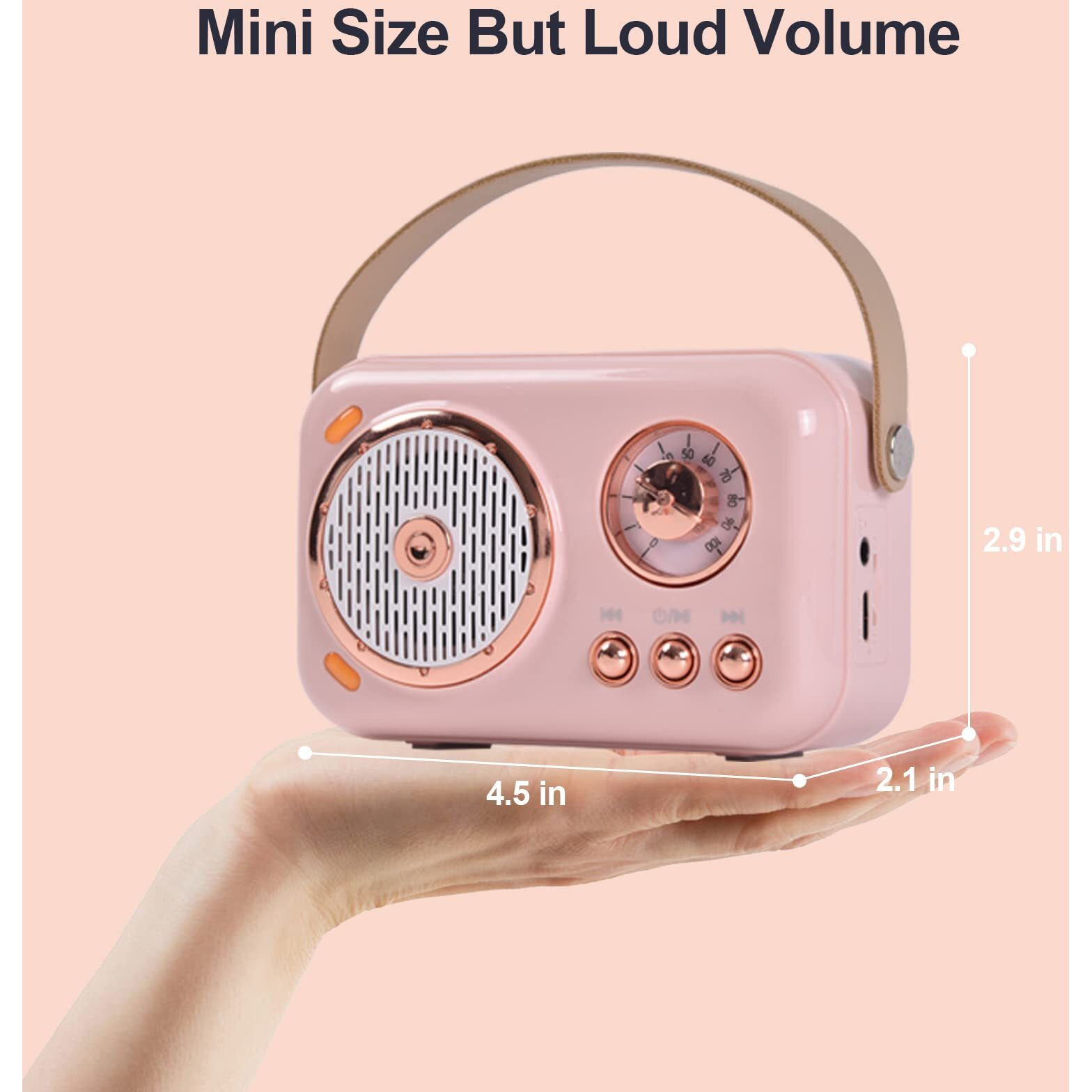Portable Bluetooth Speaker With Microphone Set,Retro Bluetooth Speaker With Home Karaoke Machine,Portable Handheld Karaoke Mics Speaker Machine For Kids And Adults Home Party Birthday (Pink) (Pink)