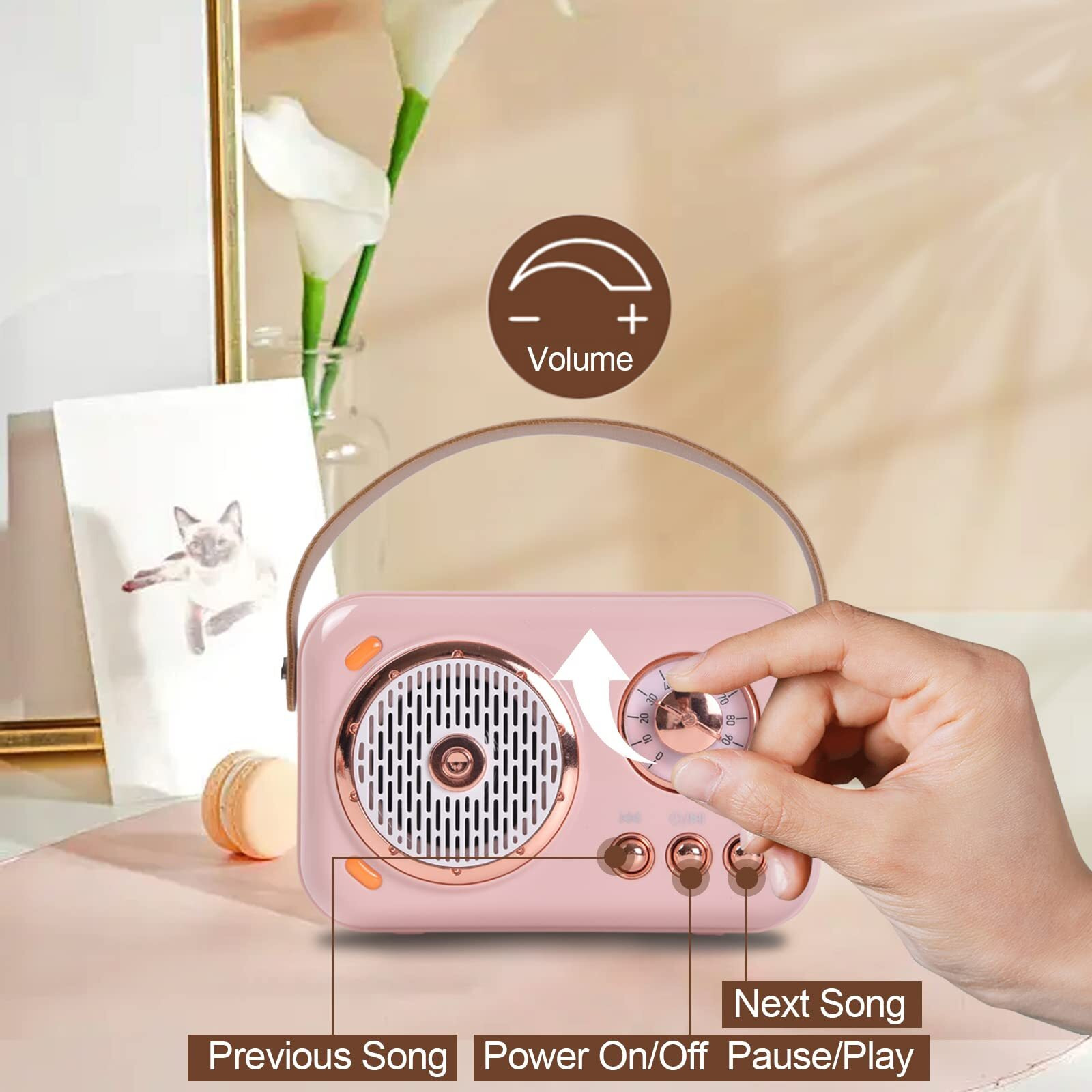 Portable Bluetooth Speaker With Microphone Set,Retro Bluetooth Speaker With Home Karaoke Machine,Portable Handheld Karaoke Mics Speaker Machine For Kids And Adults Home Party Birthday (Pink) (Pink)