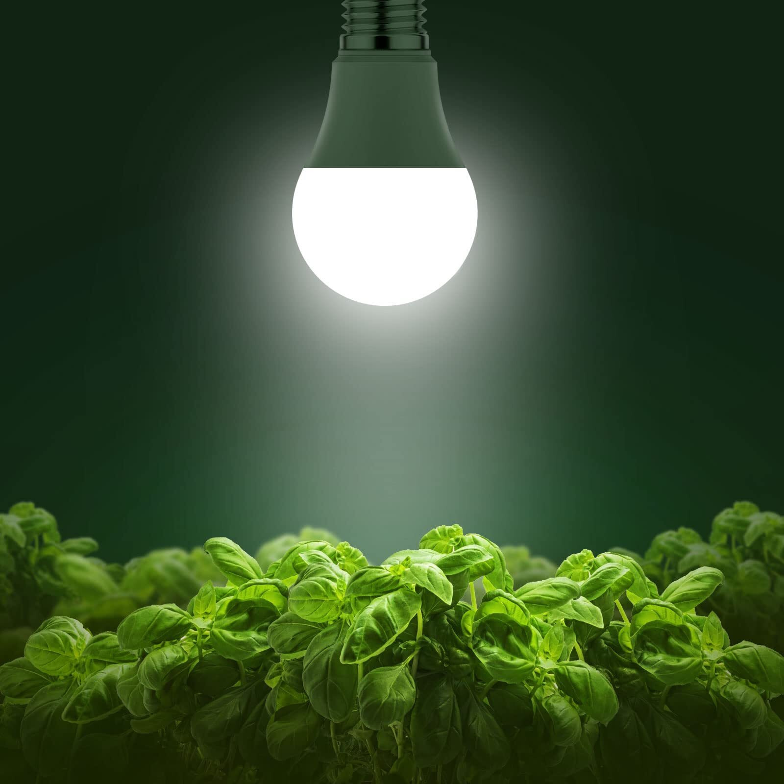 Briignite Grow Light Bulbs, Full Spectrum Grow Light Bulb, Led Grow Light Bulb A19 Bulb, Plant Light Bulbs E26 Base, 11W Grow Bulb 100W Equivalent, Grow Light For Indoor Plants, Seed Starting, 6 Pack