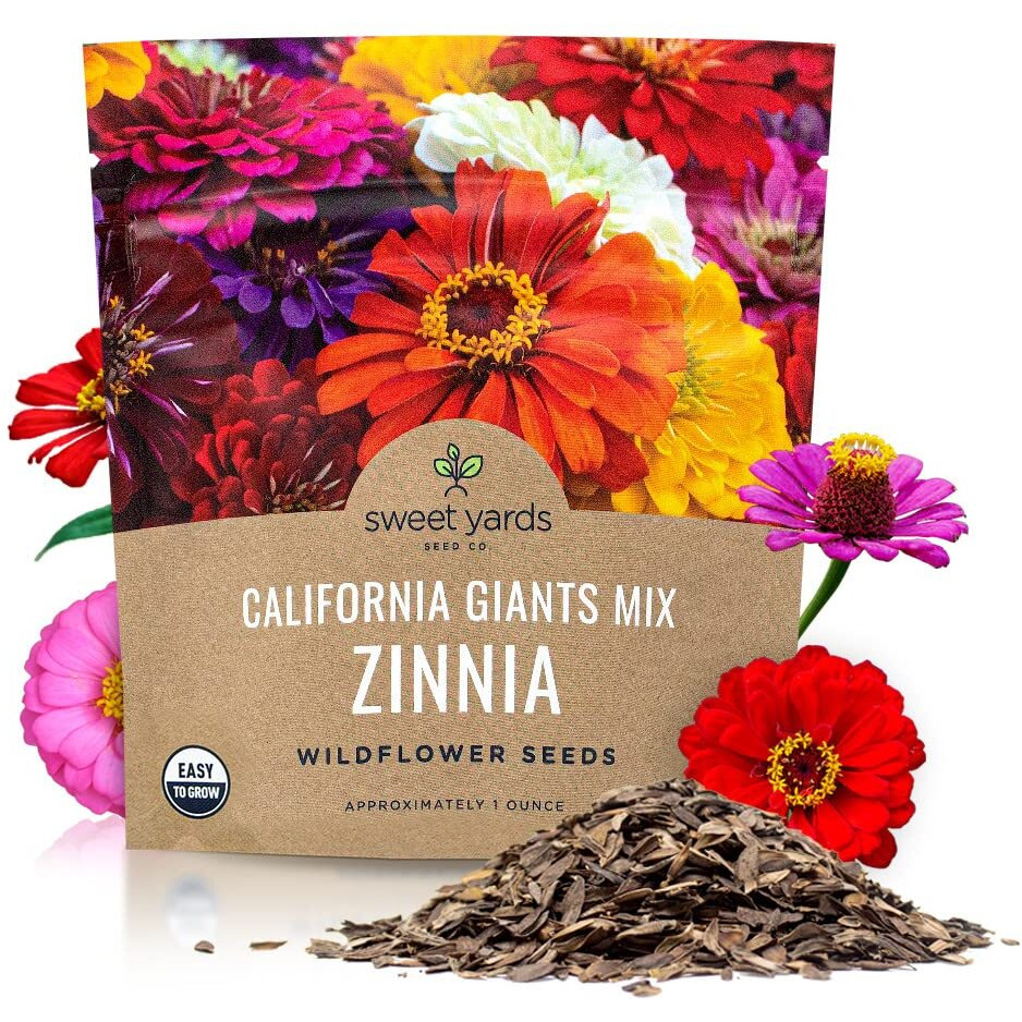 Zinnia Seeds - California Giants Mix - Large 1 Ounce Packet - 3,000 Flower Seeds - Mixed Colors And Large Blooms
