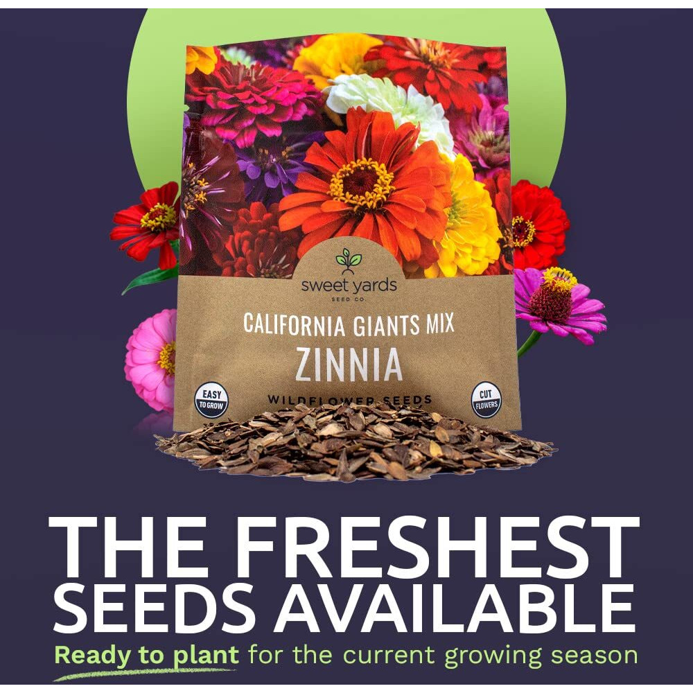 Zinnia Seeds - California Giants Mix - Large 1 Ounce Packet - 3,000 Flower Seeds - Mixed Colors And Large Blooms