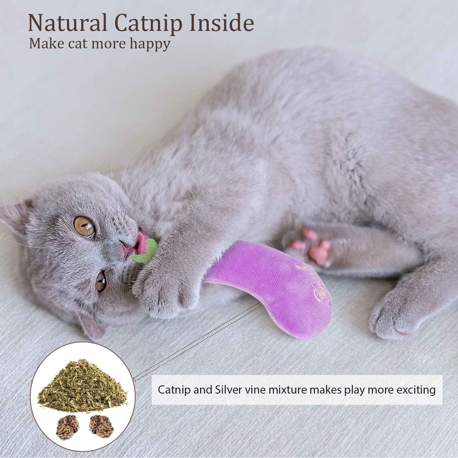 Etekyer Cat Toys With Natural Catnip Inside, Value Pack 5Pcs, Interactive Cat Nip Toy For Indoor Kitten Kitty Chew Kicker Exercise