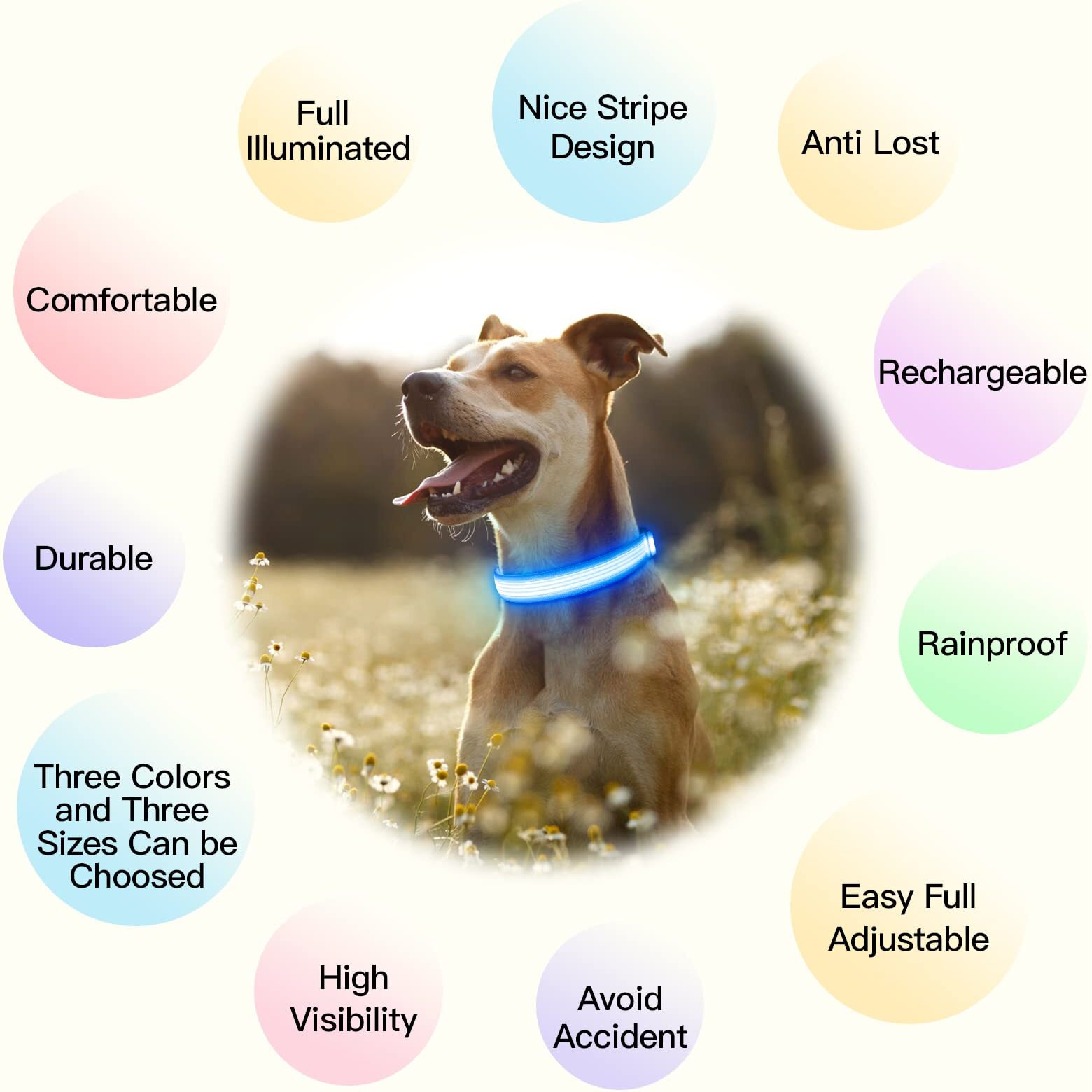 Yfbrite Light Up Dog Collar, Usb Rechargeable Led Puppy Collar Super Bright Adjustable Glowing Dog Lights For Night Walking (Design-2- Blue, Large)
