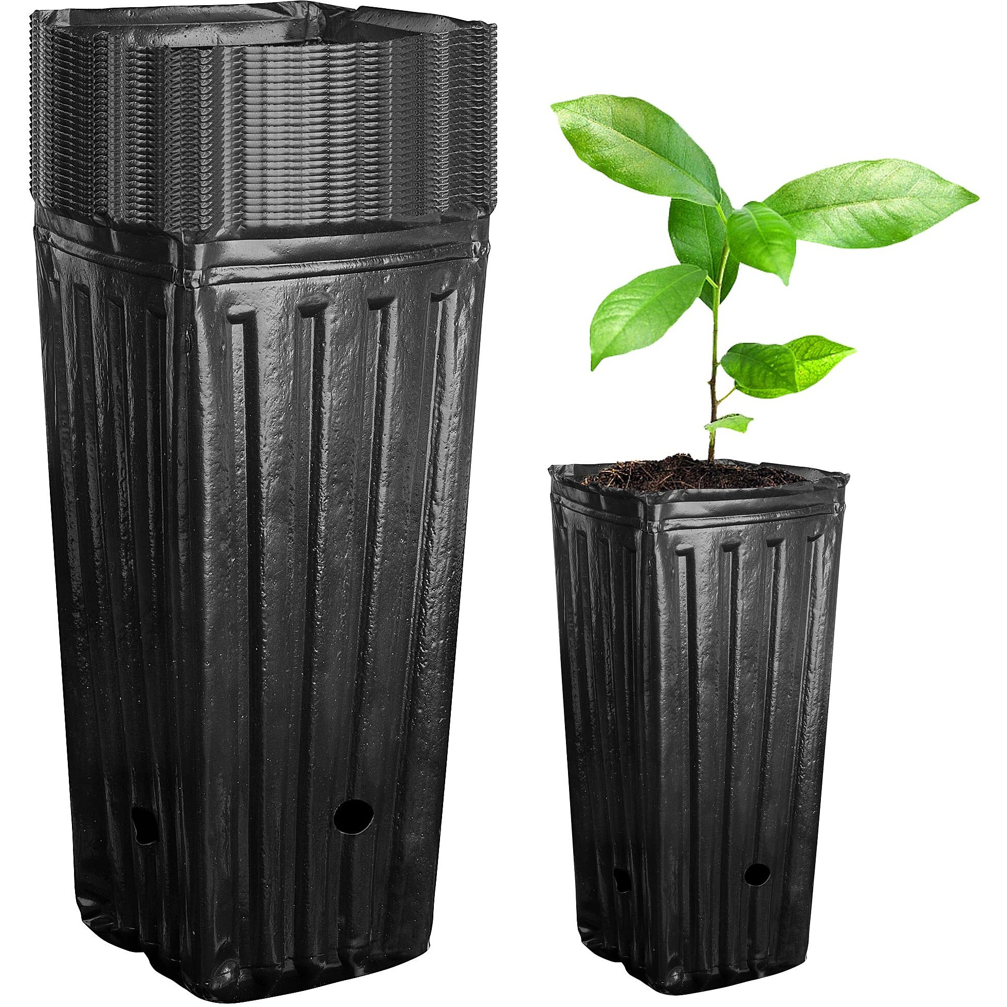 Iceyyyy 20Pcs Tall Tree Pots,Plastic Deep Nursery Treepots,78 Tall Seedling Flower Plant Container Pots For Indoor Outdoor Garden Plants (20Pcs)