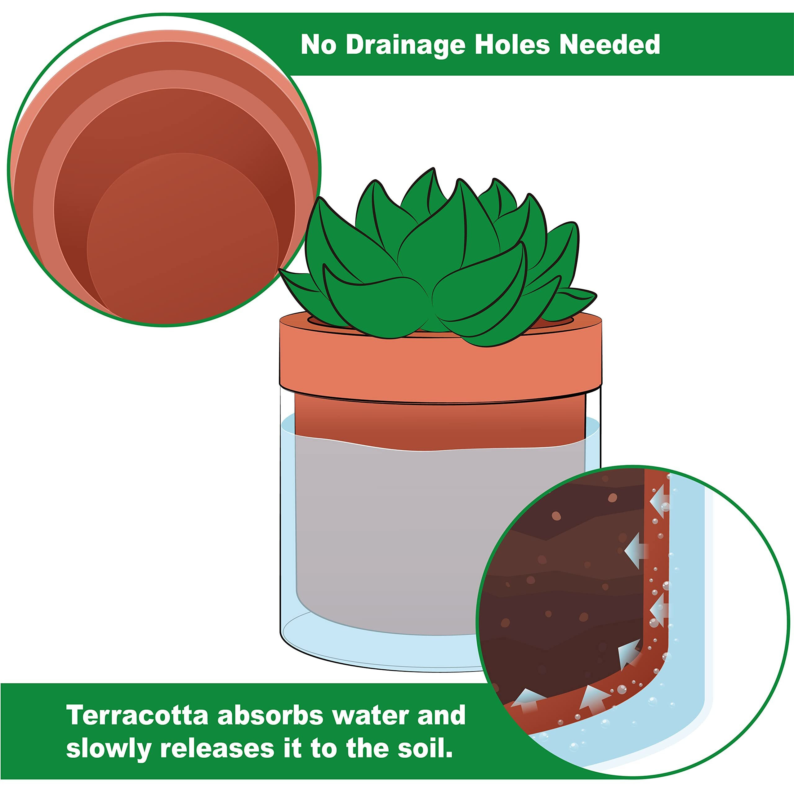 Phoenix Vine 4 Inch Self Watering Planter Pot, Terracotta Clay Pot With Glass Reservoir For Indoor Plants, Herbs, Flowers, Set Of 1, 52-A-E-1