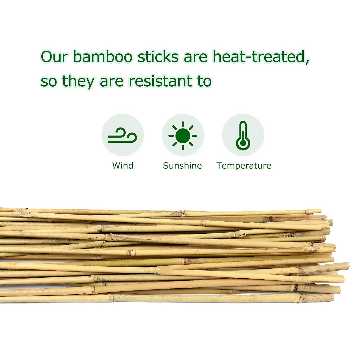 Cambaverd 6Ft Bamboo Garden Stakes Eco-Friendly Plant Stakes 6 Feet, Bamboo Poles For Tomatoes Beans Climbing Plants Support - Pack Of 20 Bamboo Stakes Natural