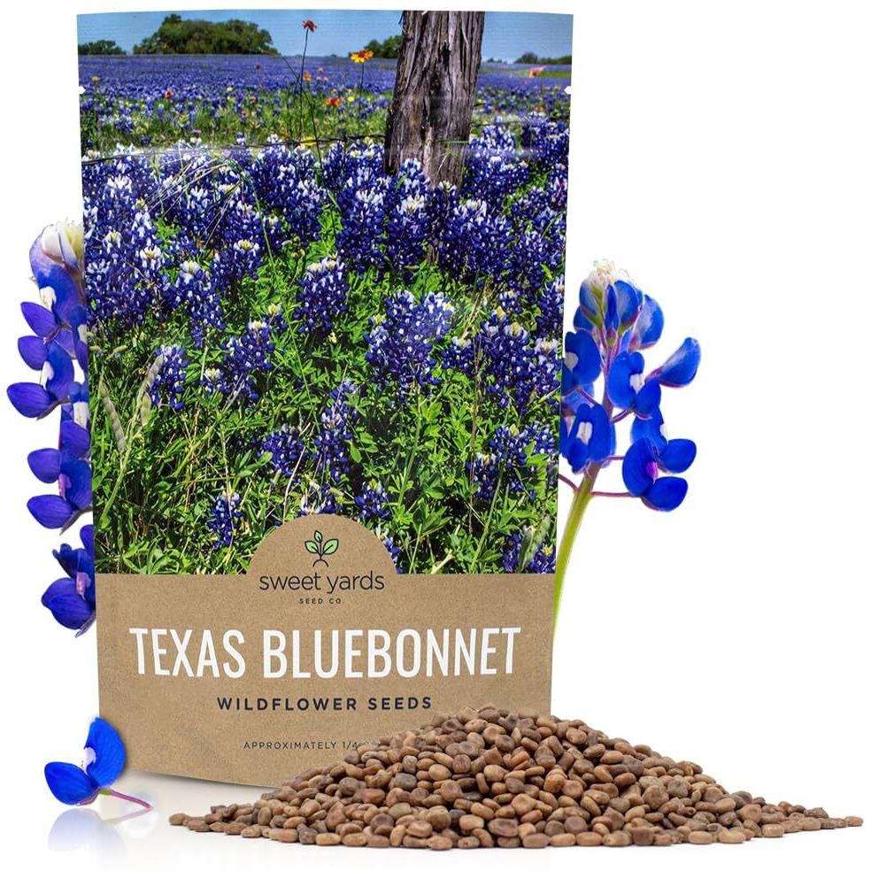 Texas Bluebonnet Wildflower Seeds - Bulk 1/4 Pound Bag - Over 4,000 Native Seeds - Texas State Flower