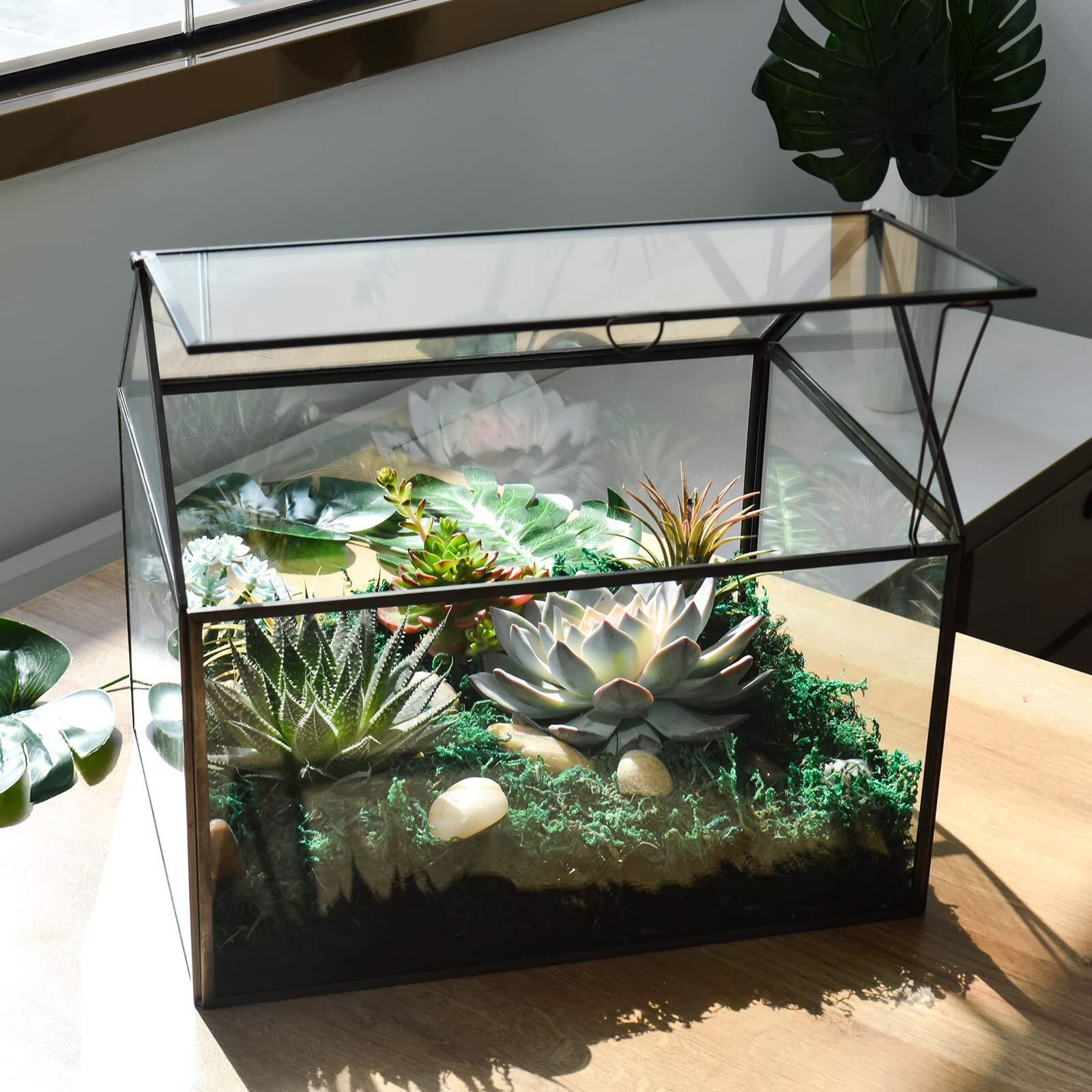Yimorence V Large Tall Glass Plant Terrarium - House Succulent Glass Terrarium Kit With Lip And Tray Glass Greenhouse Terrarium For Plant 9.5