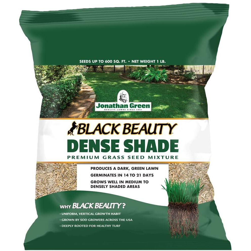 Jonathan Green (10622) Black Beauty Dense Shade Grass Seed - Cool Season Lawn Seed (1 Lb)