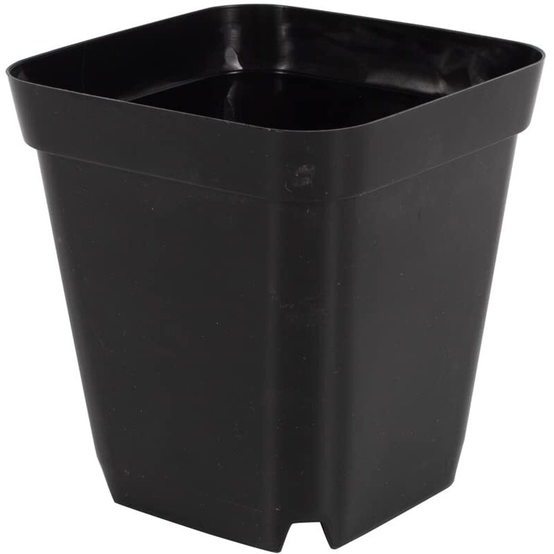 Grow-Green 10 Cm 4 Inches Square Nursery Pots 60P, Seedling Plastic Seeds Propogation Growing Pots Black, 60 Pack