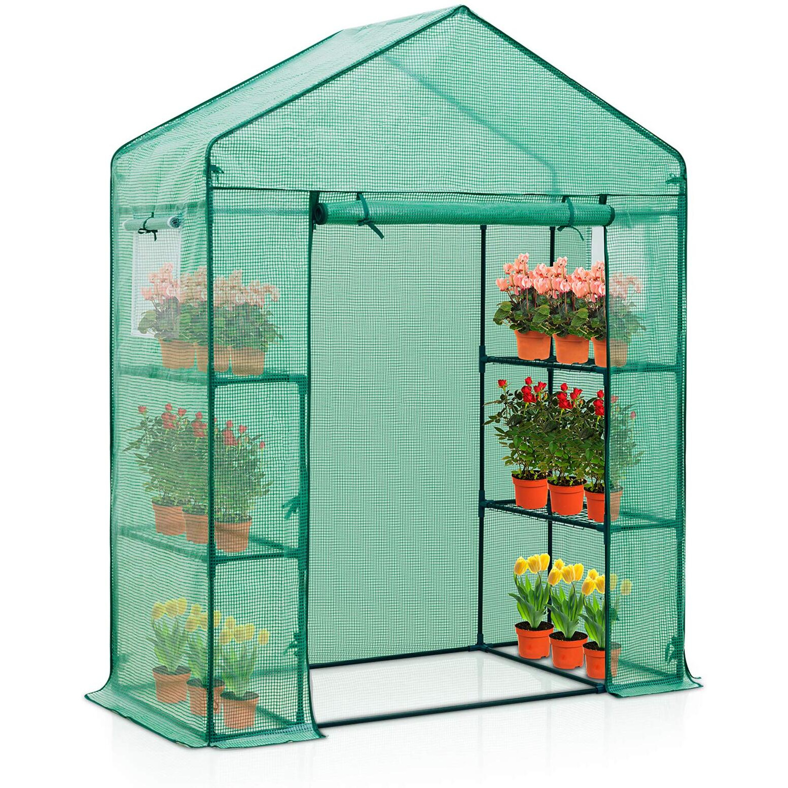 Eagle Peak 61'' X 28'' X 79'' Walk-In Greenhouse, 2 Tier 4 Shelves Portable Plant Gardening Greenhouse, Front Roll-Up Zipper Entry Door And 2 Roll-Up Side Windows, Green