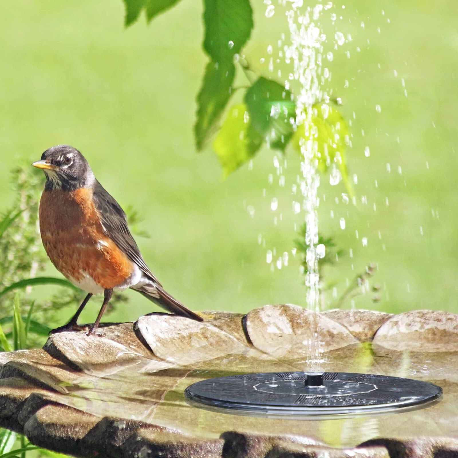 Goldflower Solar Fountain, Floating Solar Powered Water Fountain Pump For Bird Bath, Garden, Pond, Pool, Outdoor (1.4W)