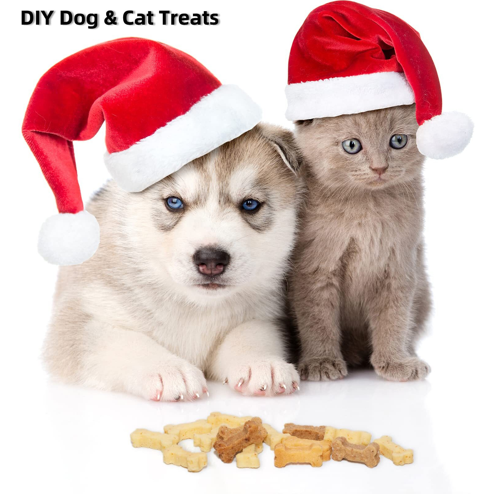 Dog Treats
