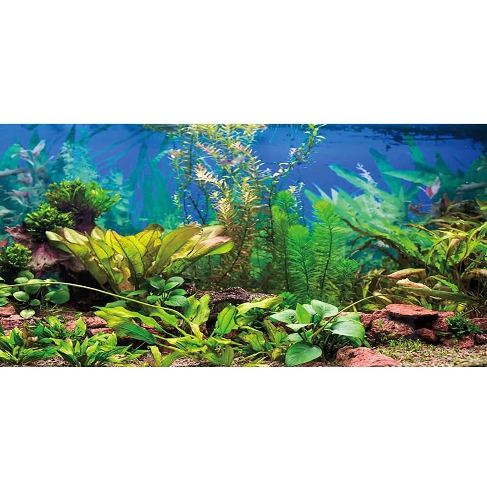 Awert 72X24 Inches Aquarium Background Aquatic Plant River Bed & Lake Fish Tank Background Vinyl