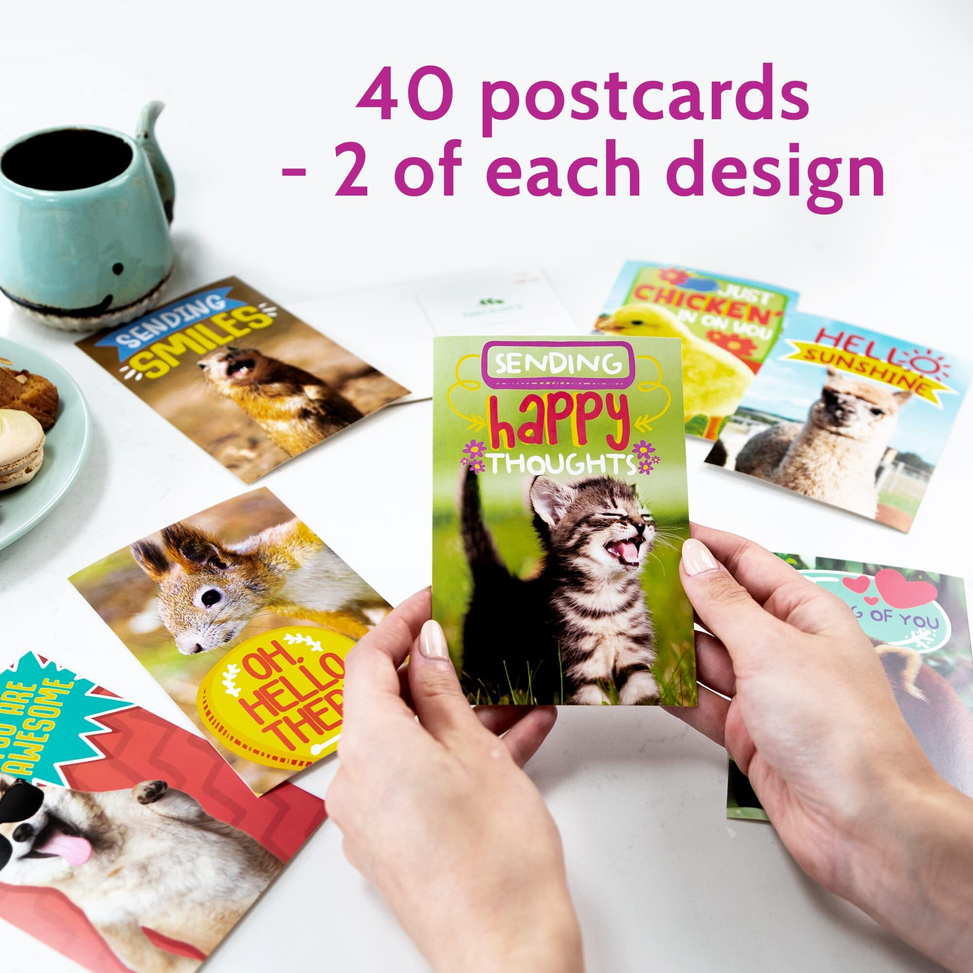 T Marie 40 Funny Animal Postcards - Bulk Thinking Of You Postcard Pack For Kids, Students, Friends, Teacher And More - Say Hello, Thank You Or I Miss You With Cute Note Cards