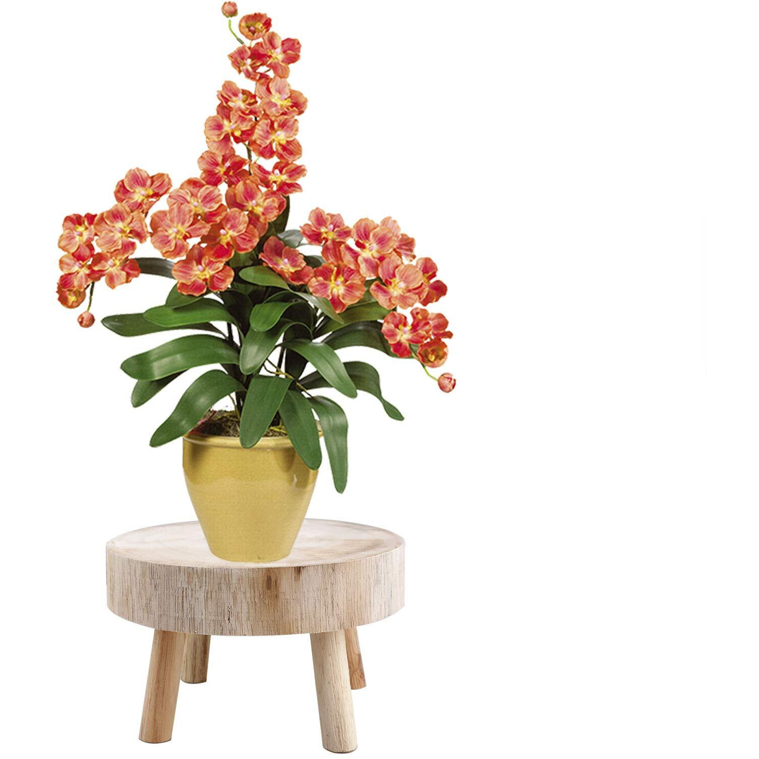 Yuiop Mini Wooden Stool Display Stand Modern Plant Stand, Flower Pot Holder Potted Rack Planter Supports Decorative Plant Holder Indoor Outdoor For Home, Garden, Patio(Not Pots)