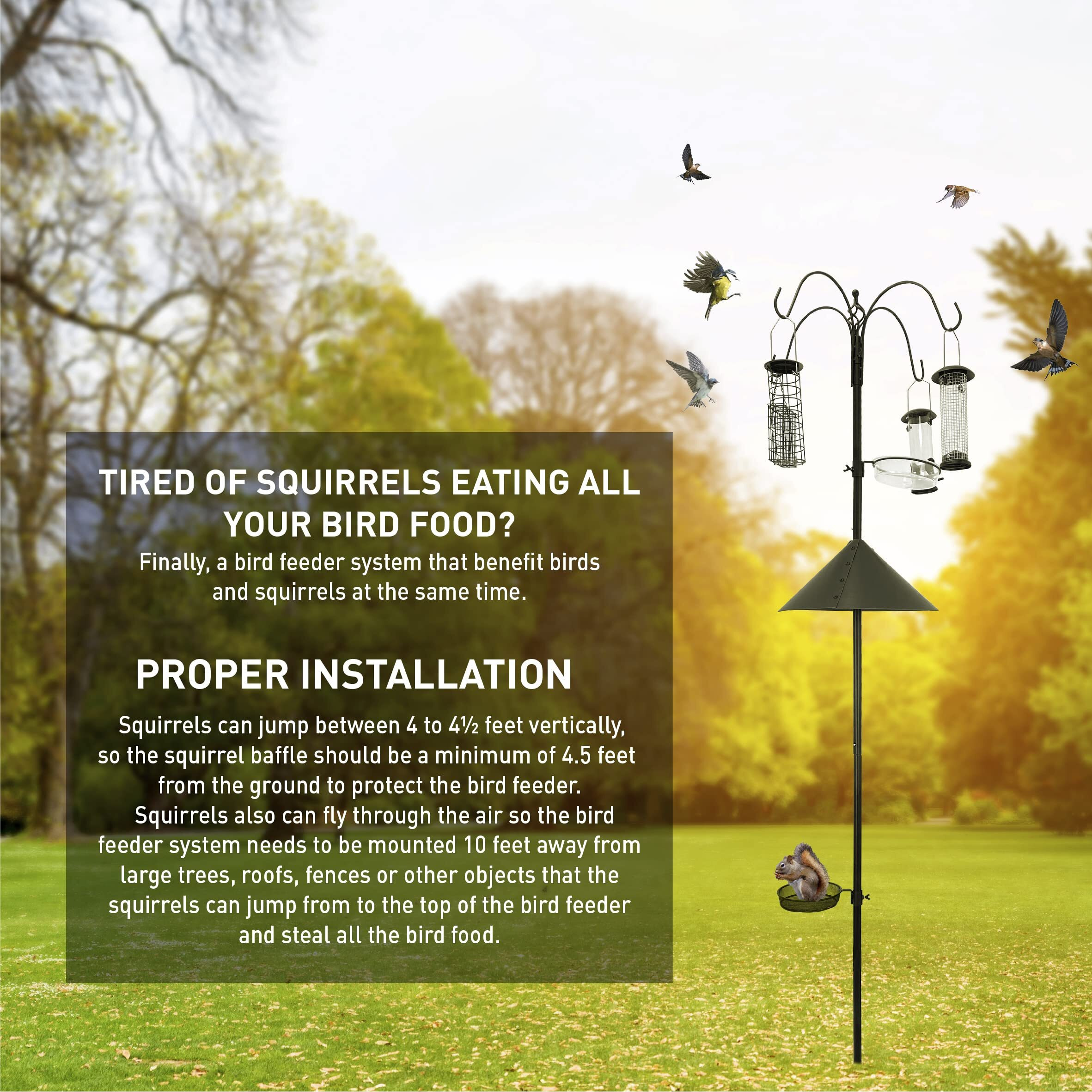 Easygo Product Squirrel Proof Bird Feeder - Wild Bird Station - Powder Coated 81 Inch Steel Pole - Squirrel Baffle - 4 Bird Feeders - 1 Squirrel Peanut Feeder - 5 Prong Base - Patents Pending