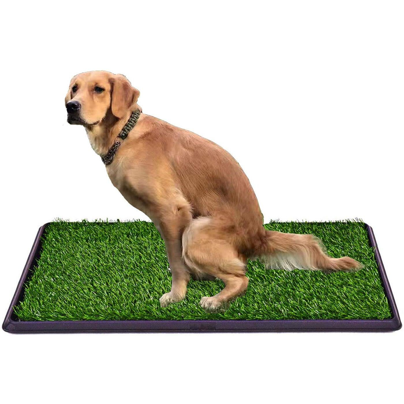 Lomantown Dog Potty Artificial Grass Potty Trainer, Fake Grass Pad 3 Layered System Dog Litter Box For Puppy Training (30 X 20 Grass With Tray)