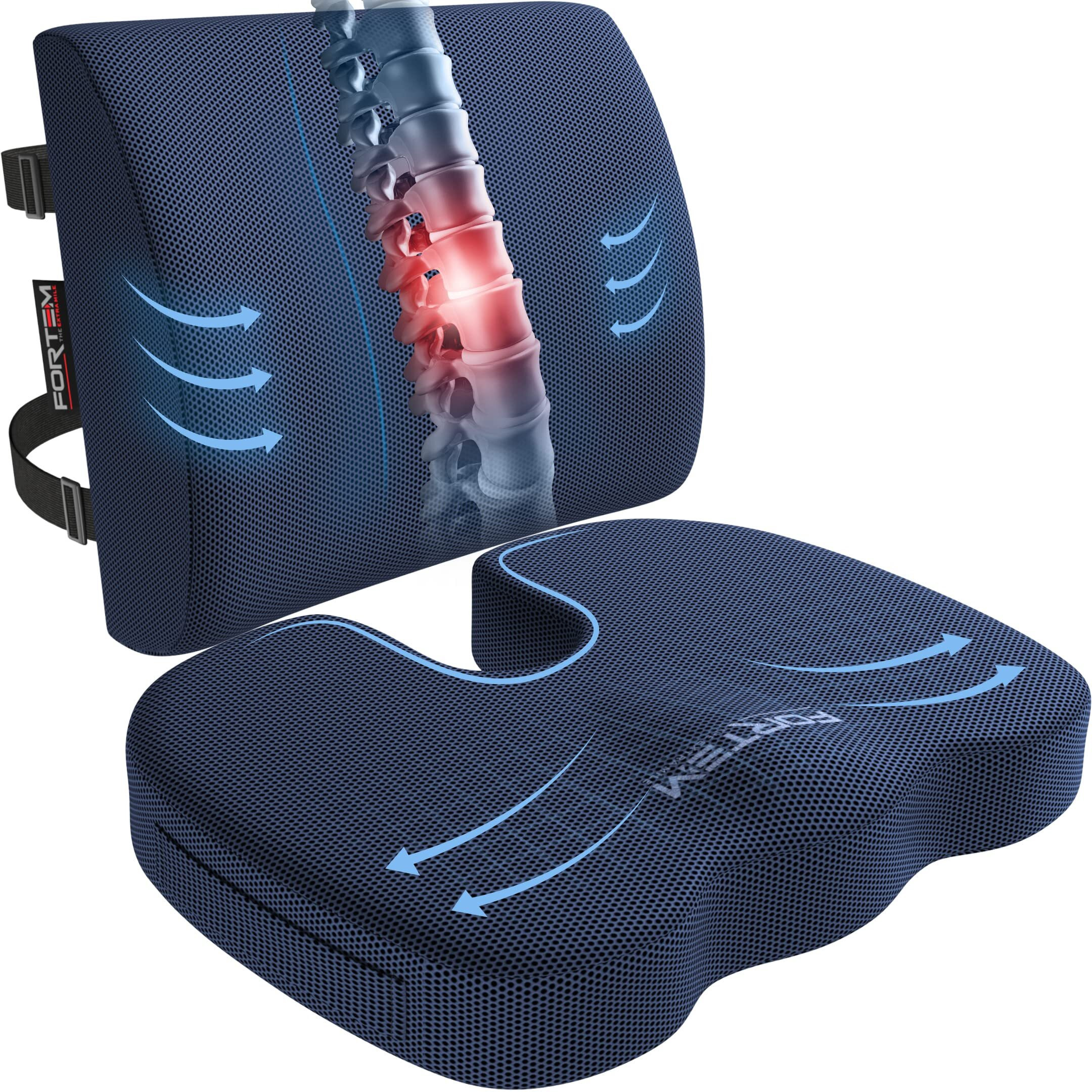 Fortem Chair Cushion, Seat Cushion For Office Chair, Lumbar Support Pillow For Chair, Car Seat Cushion, Back Support Memory Foam Pillow Washable Cover (Blue, Mesh)