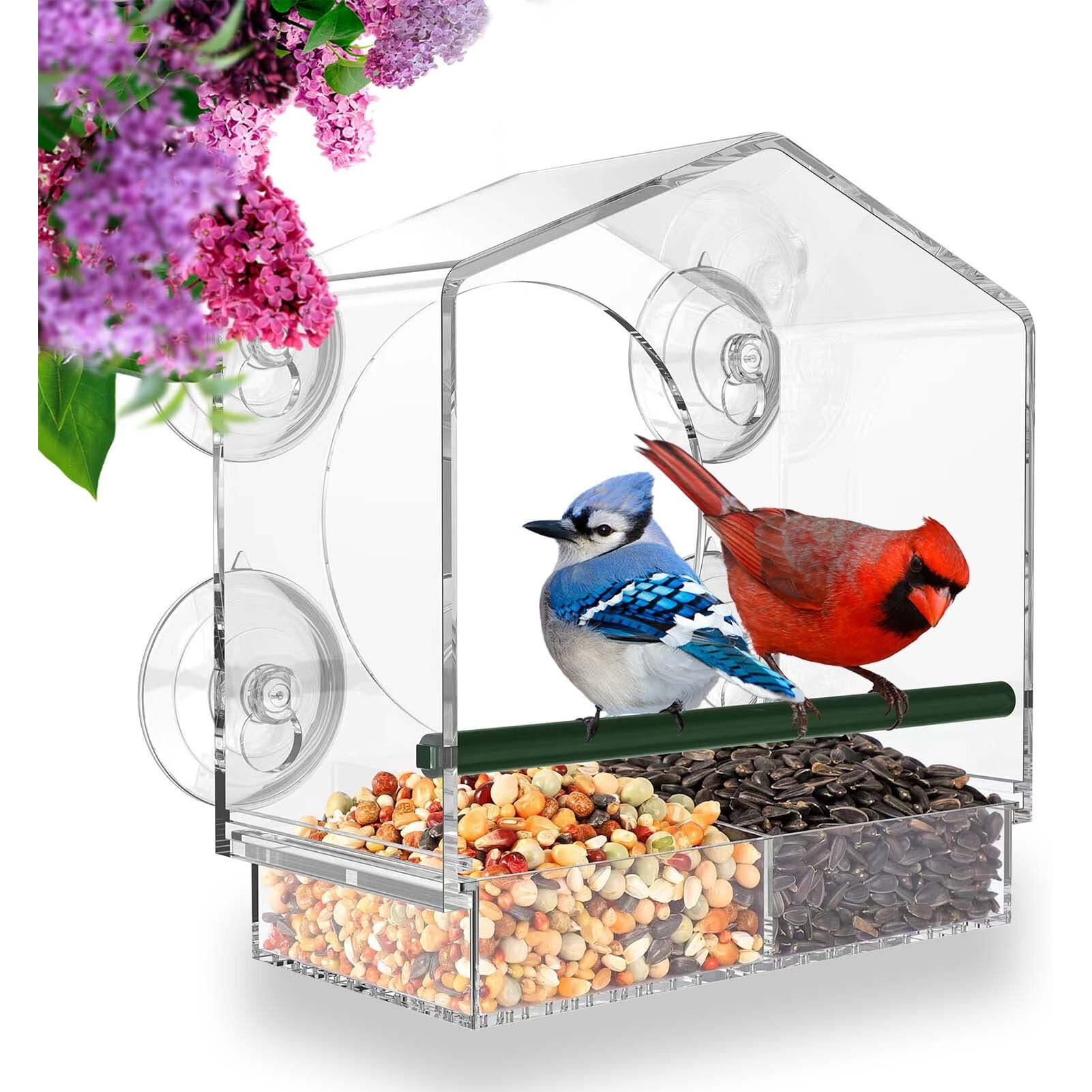 Mrcrafts Window Bird Feeder For Outside With Strong Suction Cups, Fits For Cardinals, Finches, Chickadees Etca