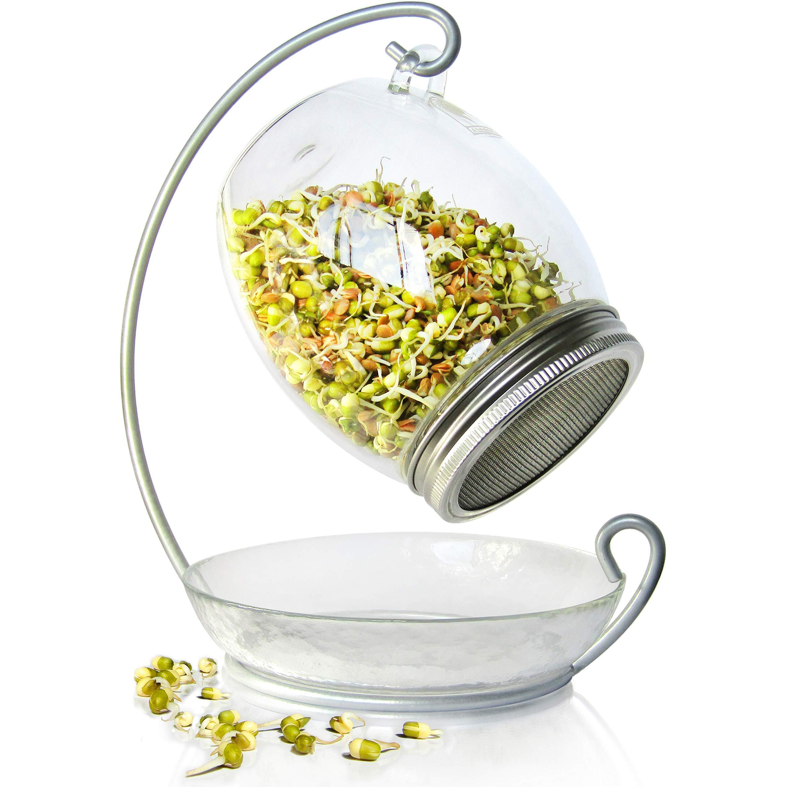 Premium Sprouting Jar Kit - Unique 30 Oz Wide Mouth Sprouting Jar, Stand, Tray And 316 Stainless Screen Lid | Decorative Indoor Seed Sprouter And Germinator (1 Kit)