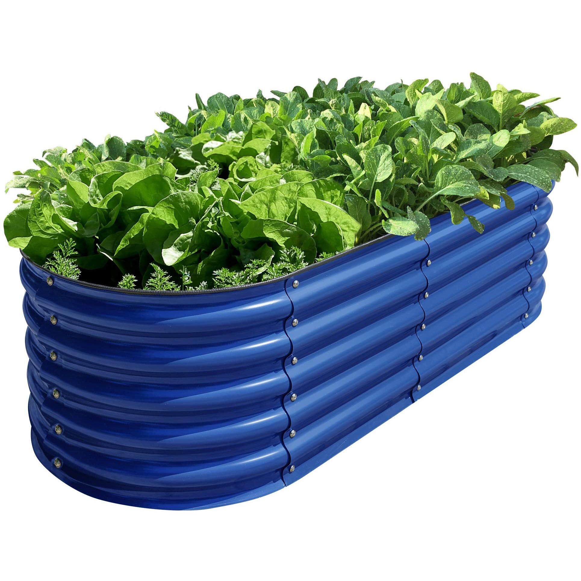 Olle Galvanized Raised Garden Beds Outdoor Plant Boxes Outdoor Garden 17"" Tall Metal Raised Garden Bed 12-In-1 Garden Beds Outdoor For Vegetables 4X8 Raised Garden Bed, Cobalt Blue 17"" Tall